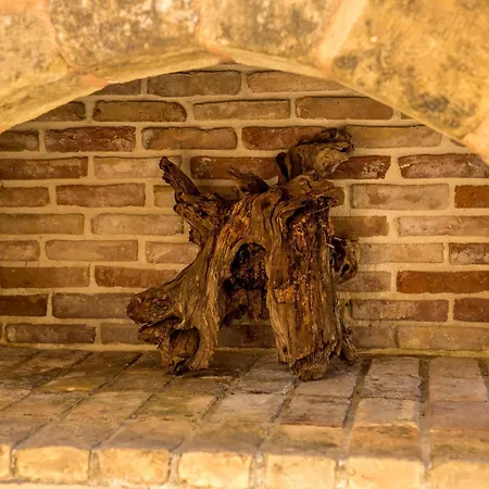 Cellar In Xirosterni Xirosternion